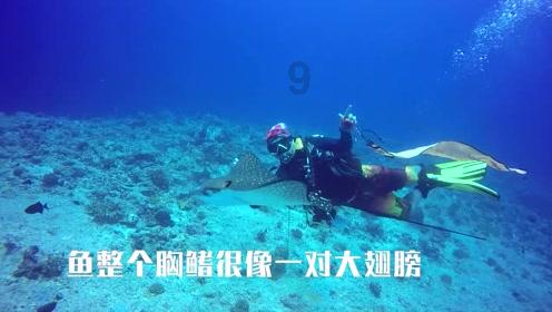 让中年女人,对你“上瘾”的套路:就1个字